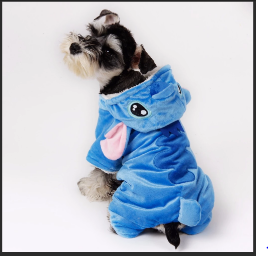 Roupa tamanho P Promoção